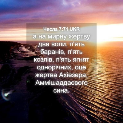 Picture 04 - Числа 7:71 UKR - а на мирну жертву два воли, - Bible Verse Picture