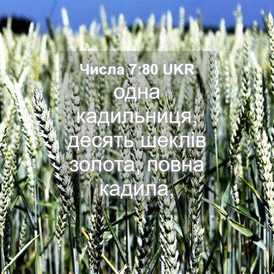 Picture 04 - Числа 7:80 UKR - одна кадильниця, десять - Bible Verse Picture