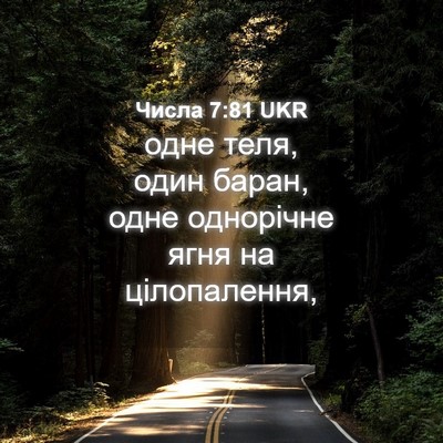 Picture 04 - Числа 7:81 UKR - одне теля, один баран, одне - Bible Verse Picture
