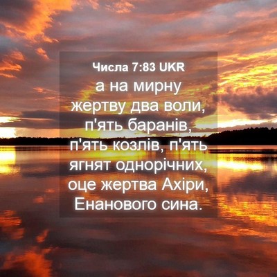 Picture 04 - Числа 7:83 UKR - а на мирну жертву два воли, - Bible Verse Picture
