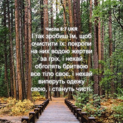 Picture 04 - Числа 8:7 UKR - І так зробиш їм, щоб - Bible Verse Picture