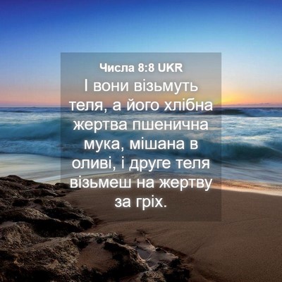 Picture 04 - Числа 8:8 UKR - І вони візьмуть теля, а - Bible Verse Picture