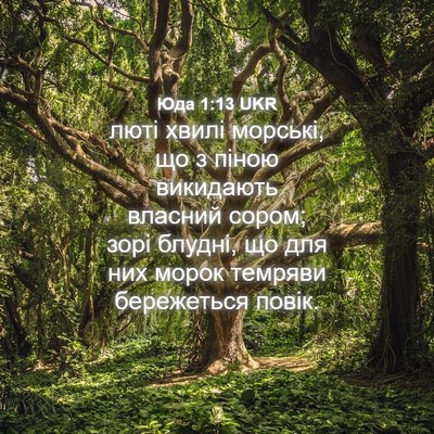 Picture 04 - Юда 1:13 UKR - люті хвилі морські, що з - Bible Verse Picture