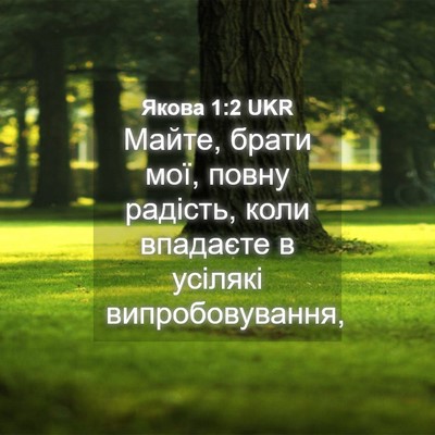 Picture 04 - Якова 1:2 UKR - Майте, брати мої, повну - Bible Verse Picture