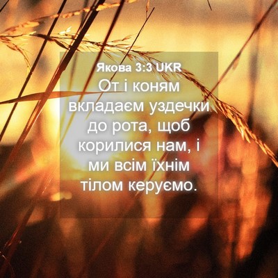 Picture 04 - Якова 3:3 UKR - От і коням вкладаєм - Bible Verse Picture