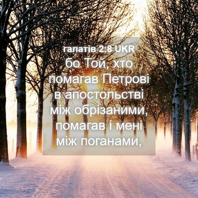Picture 04 - галатів 2:8 UKR - бо Той, хто помагав Петрові - Bible Verse Picture
