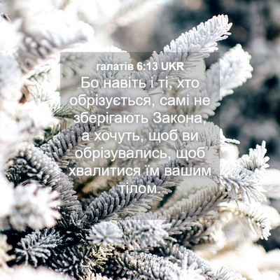 Picture 04 - галатів 6:13 UKR - Бо навіть і ті, хто - Bible Verse Picture