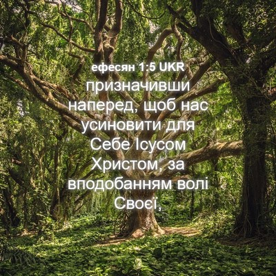 Picture 04 - ефесян 1:5 UKR - призначивши наперед, щоб - Bible Verse Picture