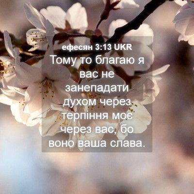 Picture 04 - ефесян 3:13 UKR - Тому то благаю я вас не - Bible Verse Picture