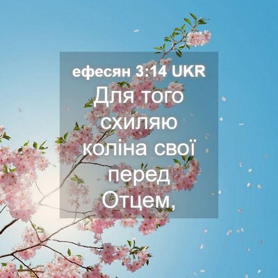 Picture 04 - ефесян 3:14 UKR - Для того схиляю коліна - Bible Verse Picture
