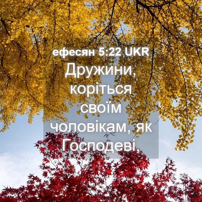 Picture 04 - ефесян 5:22 UKR - Дружини, коріться своїм - Bible Verse Picture