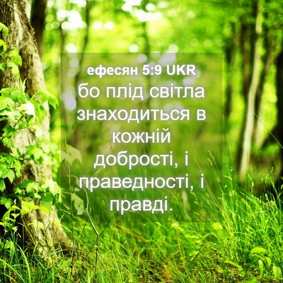 Picture 04 - ефесян 5:9 UKR - бо плід світла знаходиться - Bible Verse Picture