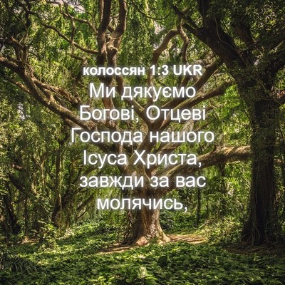 Picture 04 - колоссян 1:3 UKR - Ми дякуємо Богові, Отцеві - Bible Verse Picture
