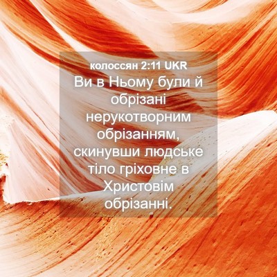 Picture 04 - колоссян 2:11 UKR - Ви в Ньому були й обрізані - Bible Verse Picture