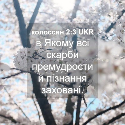 Picture 04 - колоссян 2:3 UKR - в Якому всі скарби - Bible Verse Picture