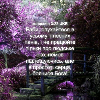 Picture 04 - колоссян 3:22 UKR - Раби, слухайтеся в усьому - Bible Verse Picture