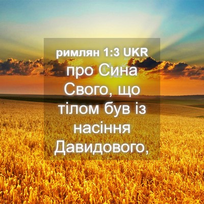 Picture 04 - римлян 1:3 UKR - про Сина Свого, що тілом - Bible Verse Picture