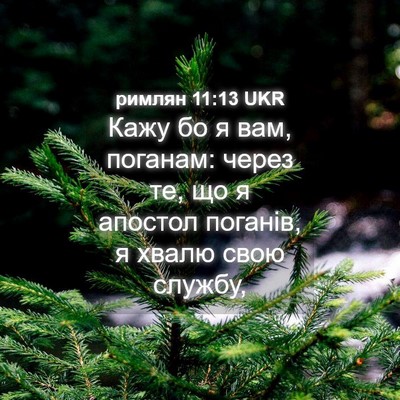 Picture 04 - римлян 11:13 UKR - Кажу бо я вам, поганам: - Bible Verse Picture