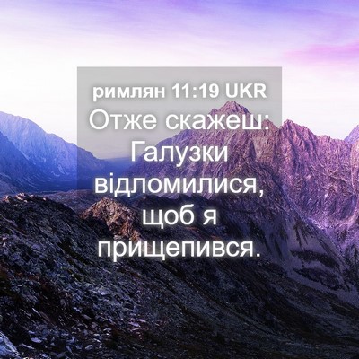 Picture 04 - римлян 11:19 UKR - Отже скажеш: Галузки - Bible Verse Picture