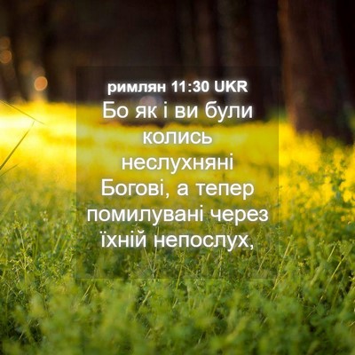 Picture 04 - римлян 11:30 UKR - Бо як і ви були колись - Bible Verse Picture
