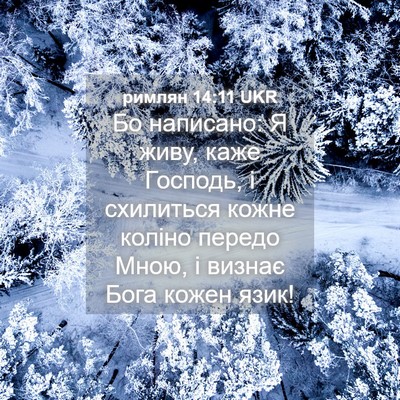 Picture 04 - римлян 14:11 UKR - Бо написано: Я живу, каже - Bible Verse Picture