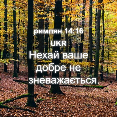 Picture 04 - римлян 14:16 UKR - Нехай ваше добре не - Bible Verse Picture