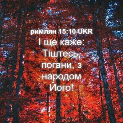 Picture 04 - римлян 15:10 UKR - І ще каже: Тіштесь, погани, - Bible Verse Picture