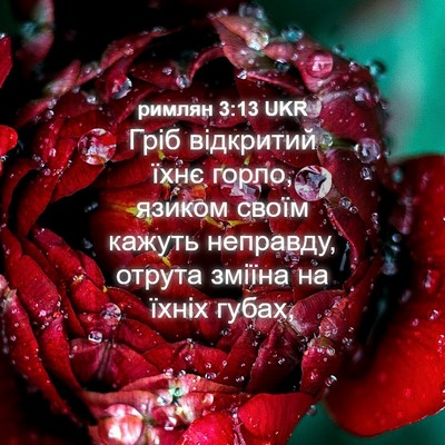 Picture 04 - римлян 3:13 UKR - Гріб відкритий їхнє горло, - Bible Verse Picture
