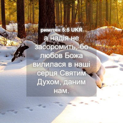 Picture 04 - римлян 5:5 UKR - а надія не засоромить, бо - Bible Verse Picture