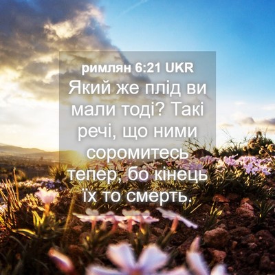 Picture 04 - римлян 6:21 UKR - Який же плід ви мали тоді? - Bible Verse Picture