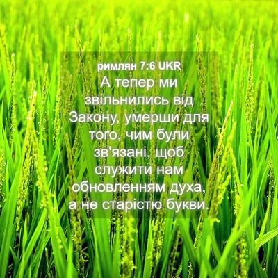 Picture 04 - римлян 7:6 UKR - А тепер ми звільнились від - Bible Verse Picture
