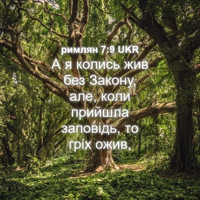 Picture 04 - римлян 7:9 UKR - А я колись жив без Закону, - Bible Verse Picture