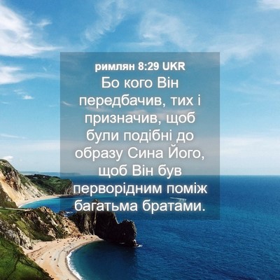 Picture 04 - римлян 8:29 UKR - Бо кого Він передбачив, тих - Bible Verse Picture