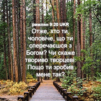 Picture 04 - римлян 9:20 UKR - Отже, хто ти, чоловіче, що - Bible Verse Picture