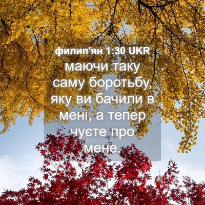 Picture 04 - филип'ян 1:30 UKR - маючи таку саму боротьбу, - Bible Verse Picture
