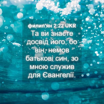 Picture 04 - филип'ян 2:22 UKR - Та ви знаєте досвід його, - Bible Verse Picture