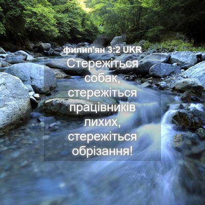 Picture 04 - филип'ян 3:2 UKR - Стережіться собак, - Bible Verse Picture
