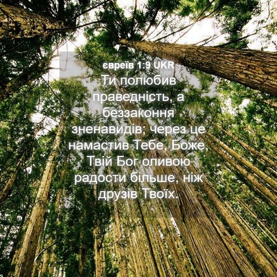 Picture 04 - євреїв 1:9 UKR - Ти полюбив праведність, а - Bible Verse Picture