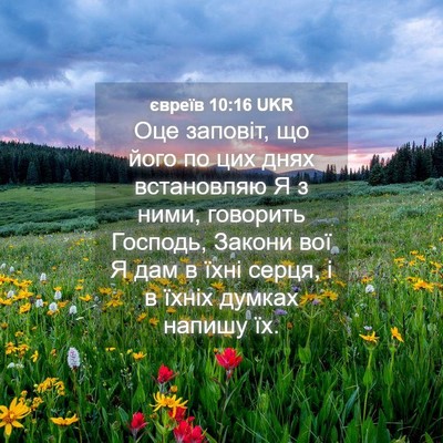 Picture 04 - євреїв 10:16 UKR - Оце заповіт, що його по цих - Bible Verse Picture