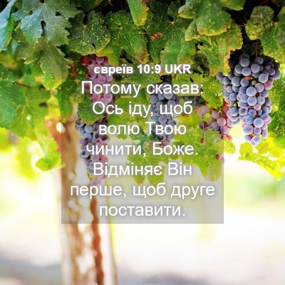 Picture 04 - євреїв 10:9 UKR - Потому сказав: Ось іду, щоб - Bible Verse Picture