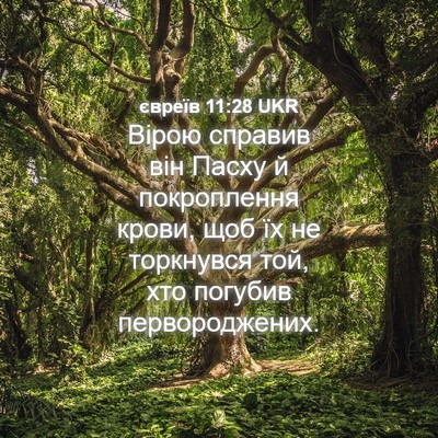 Picture 04 - євреїв 11:28 UKR - Вірою справив він Пасху й - Bible Verse Picture