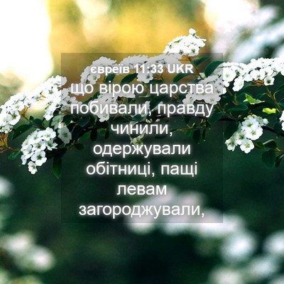 Picture 04 - євреїв 11:33 UKR - що вірою царства побивали, - Bible Verse Picture