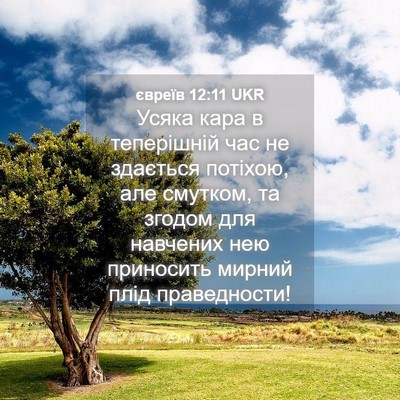 Picture 04 - євреїв 12:11 UKR - Усяка кара в теперішній - Bible Verse Picture