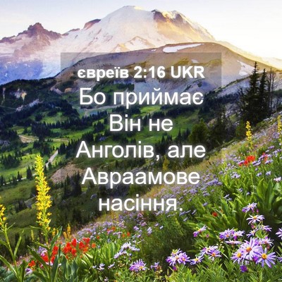 Picture 04 - євреїв 2:16 UKR - Бо приймає Він не Анголів, - Bible Verse Picture