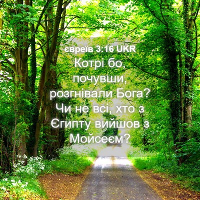 Picture 04 - євреїв 3:16 UKR - Котрі бо, почувши, - Bible Verse Picture
