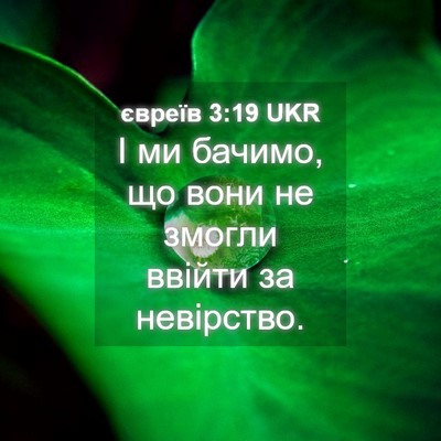 Picture 04 - євреїв 3:19 UKR - І ми бачимо, що вони не - Bible Verse Picture