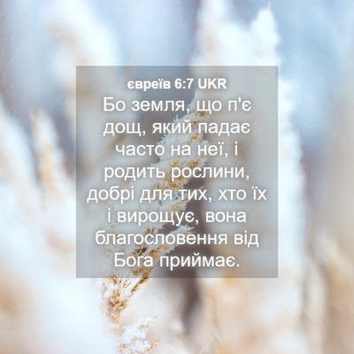 Picture 04 - євреїв 6:7 UKR - Бо земля, що п'є дощ, який - Bible Verse Picture