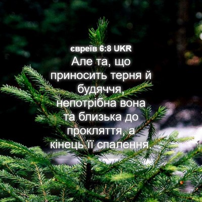 Picture 04 - євреїв 6:8 UKR - Але та, що приносить терня - Bible Verse Picture