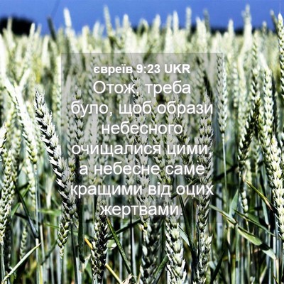 Picture 04 - євреїв 9:23 UKR - Отож, треба було, щоб - Bible Verse Picture