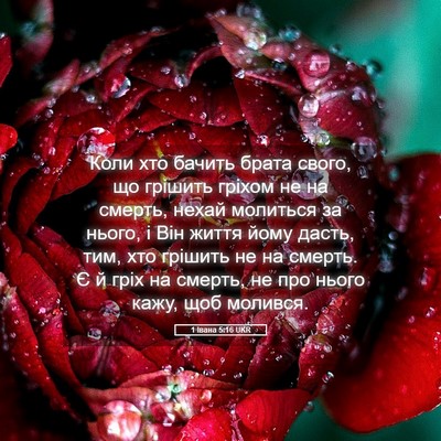 Picture 05 - 1 Івана 5:16 UKR - Коли хто бачить брата - Bible Verse Picture